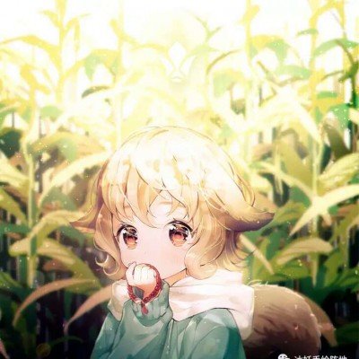 报告显示去世男童初步诊断为肺炎